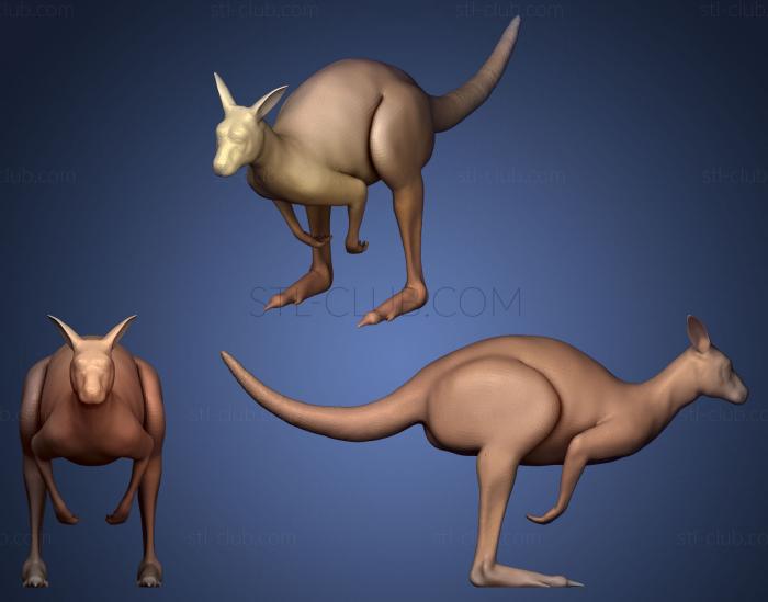 3D model Kangaroo 2 (STL)